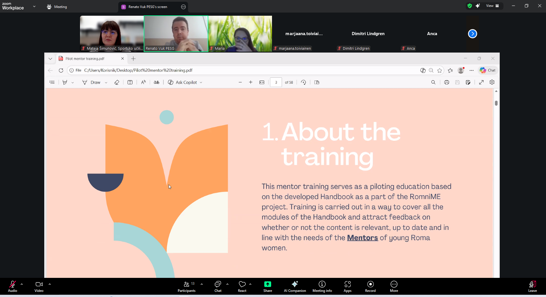 romnime pilot mentor trening slika 3