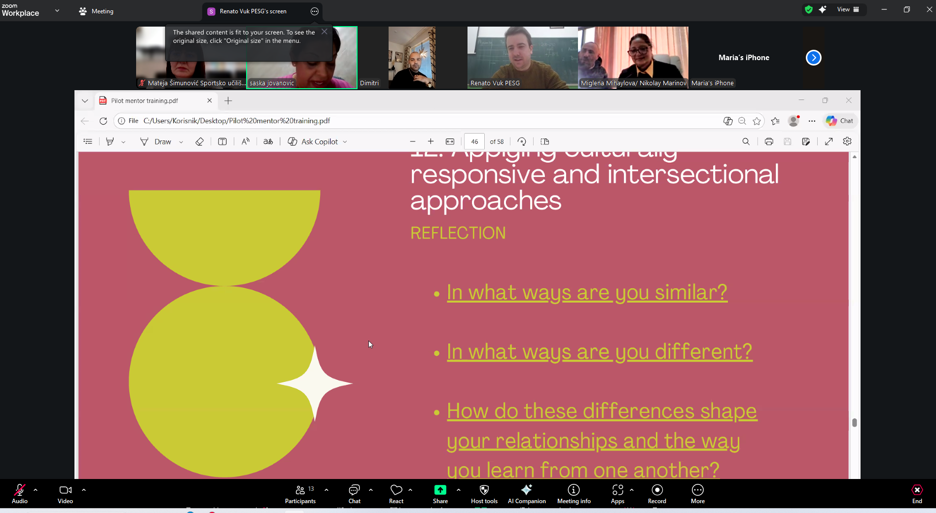 romnime pilot mentor trening slika 2